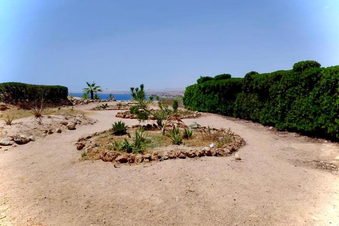 Photo of Others in El Hadaba