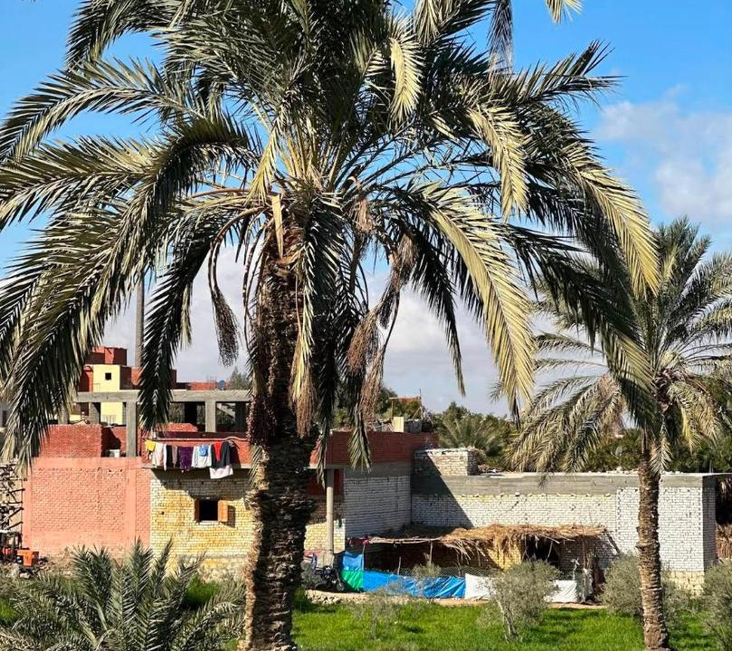 Photo of Others in Yusuf as-Sidiq