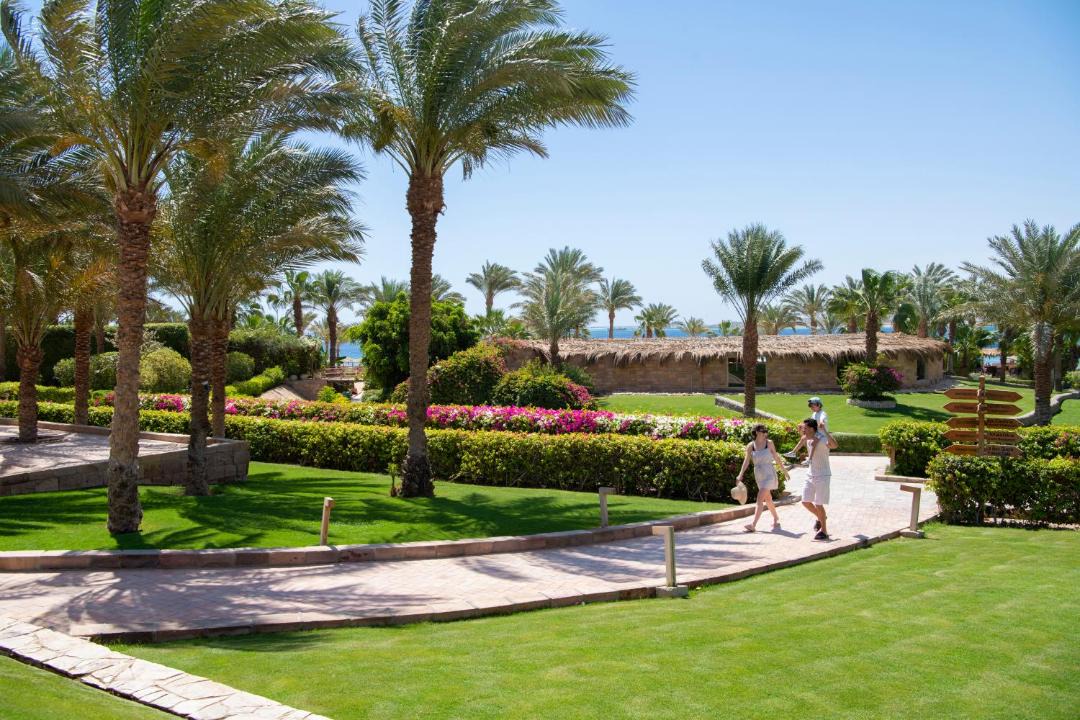 Photo of Others in Makadi Bay