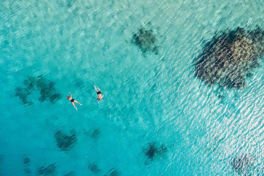 Photo of Others in Makadi Bay