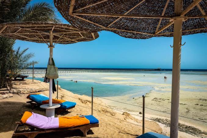 Photo of Others in Marina El Alamein