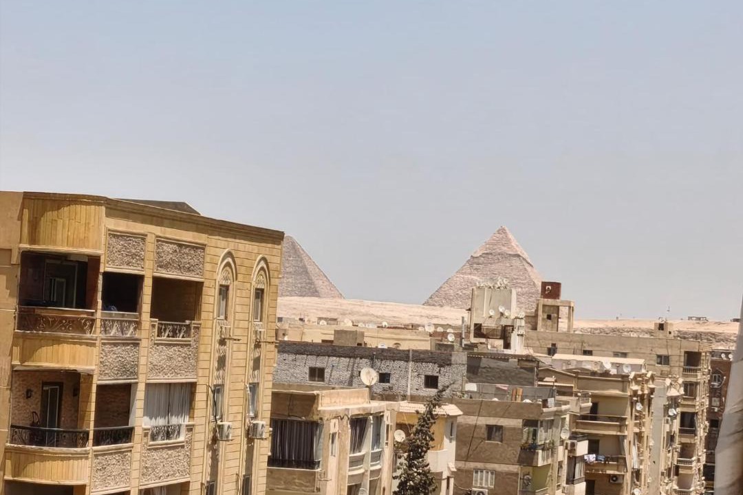 Photo of Others in Pyramids Gardens