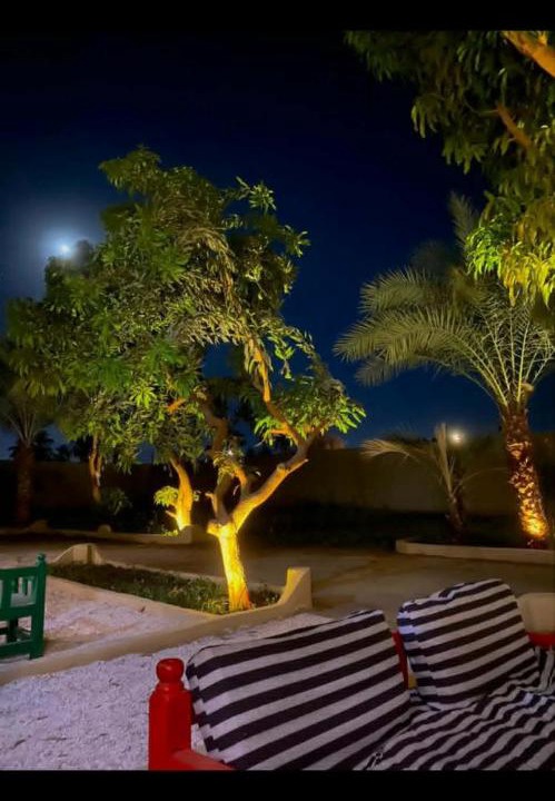 Photo of Others in Luxor