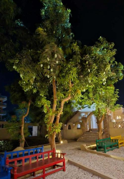 Photo of Others in Luxor