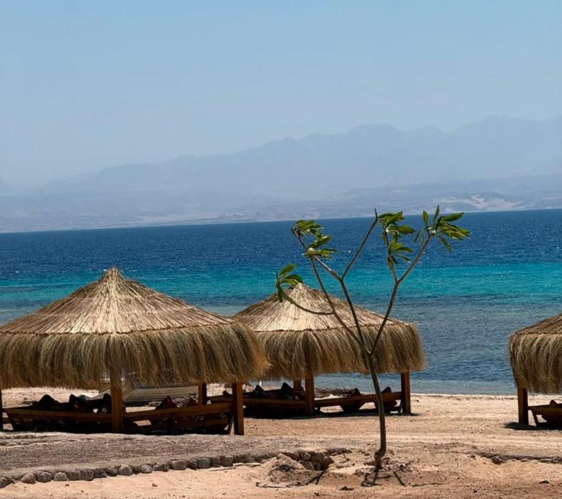 Photo of Others in Nuweiba