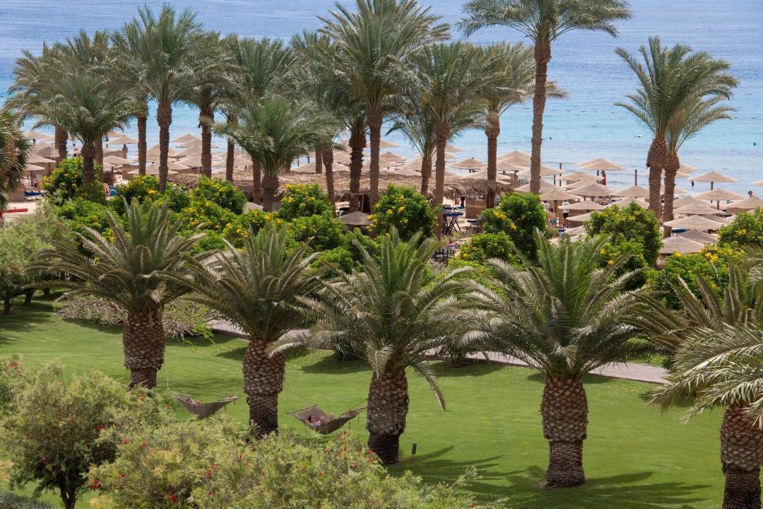 Photo of Others in Makadi Bay