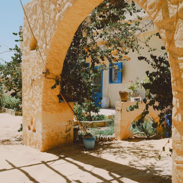 Photo of Others in Tunis Village