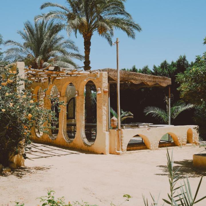 Photo of Others in Tunis Village