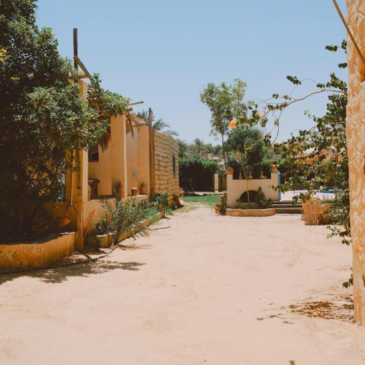 Photo of Others in Tunis Village