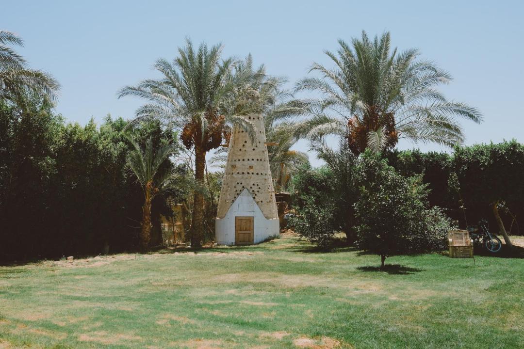 Photo of Others in Tunis Village