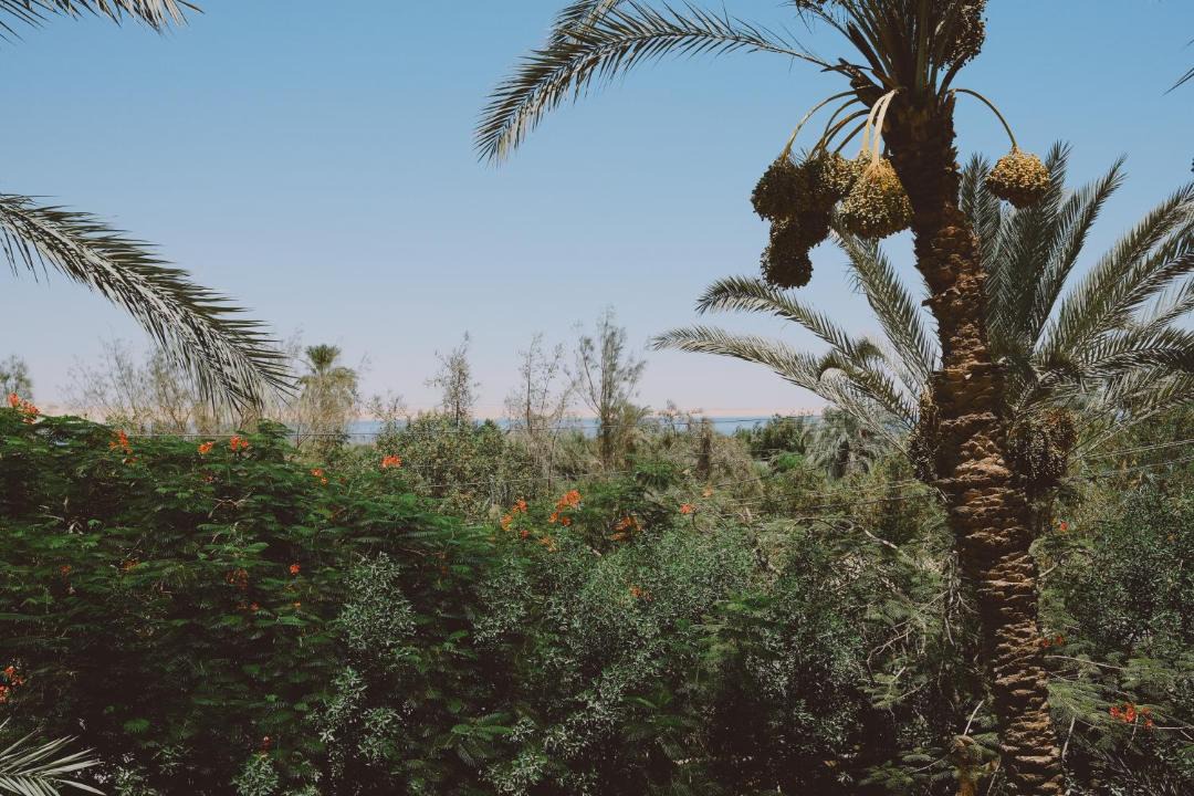 Photo of Others in Tunis Village
