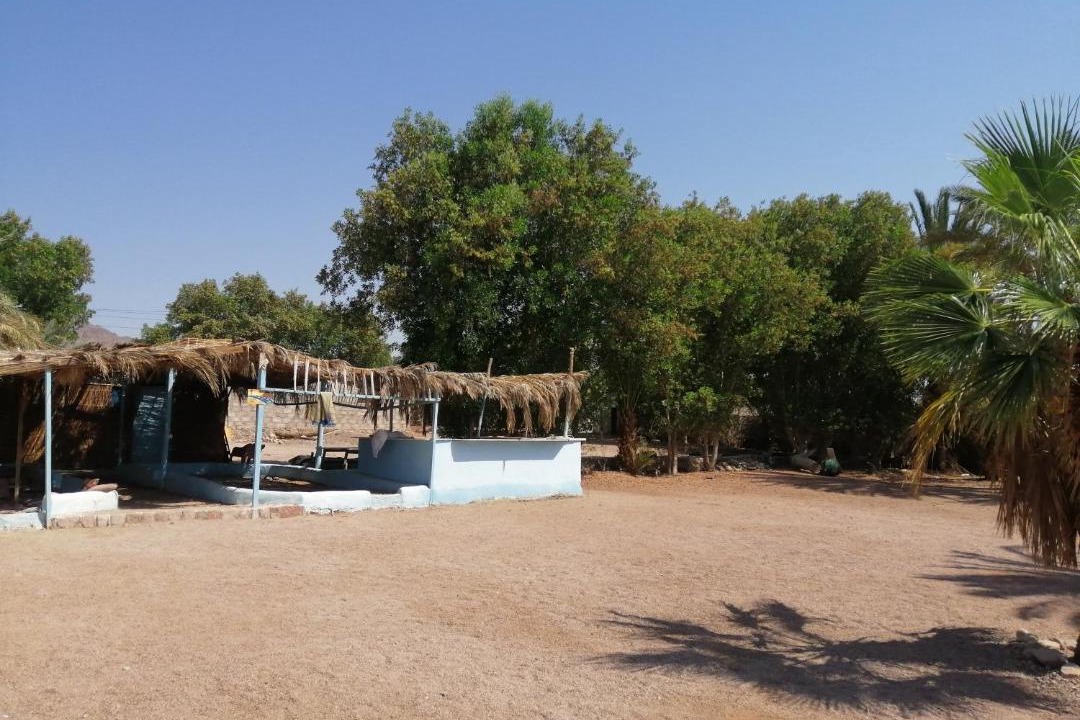 Photo of Others in Nuweiba