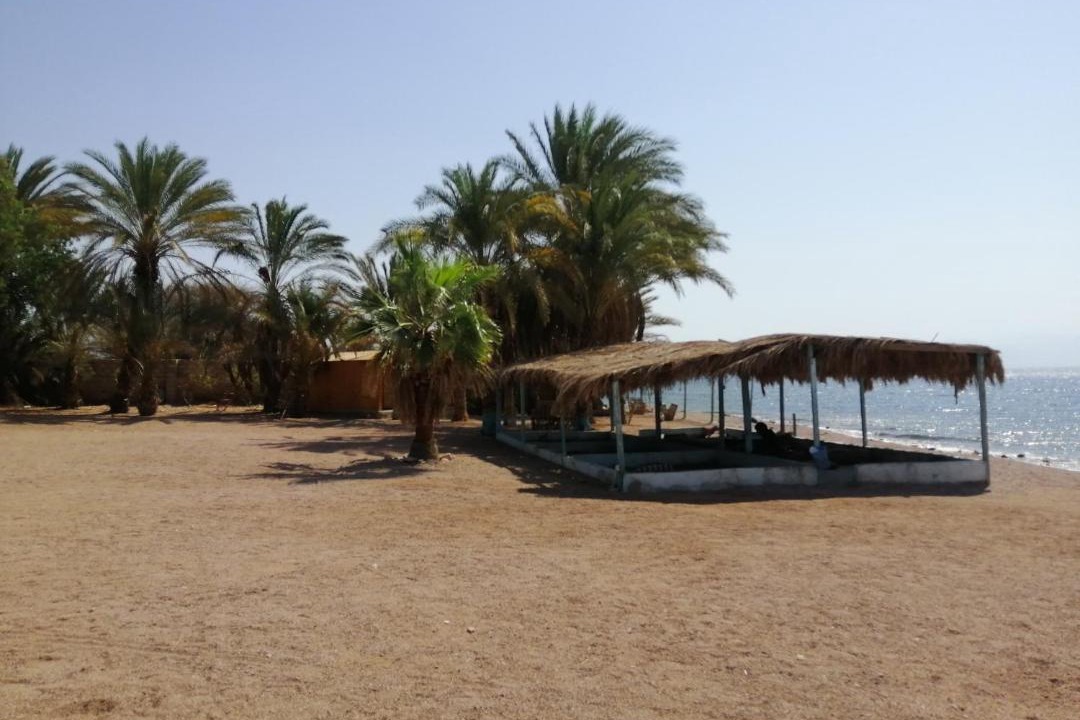 Photo of Others in Nuweiba