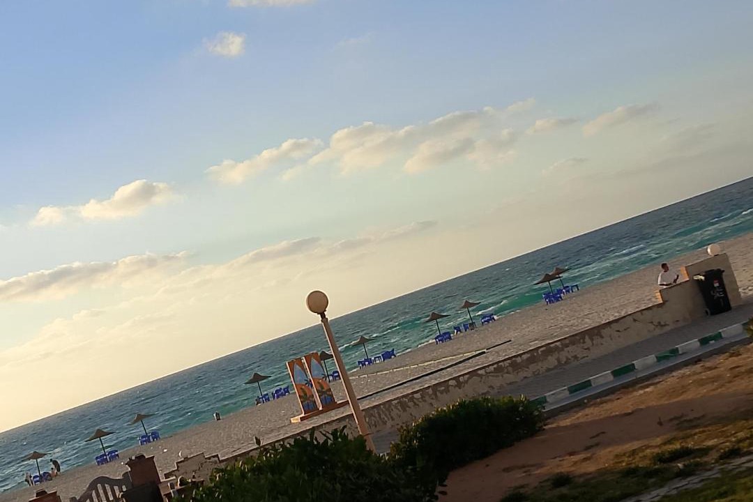 Photo of Others in Borg el Arab