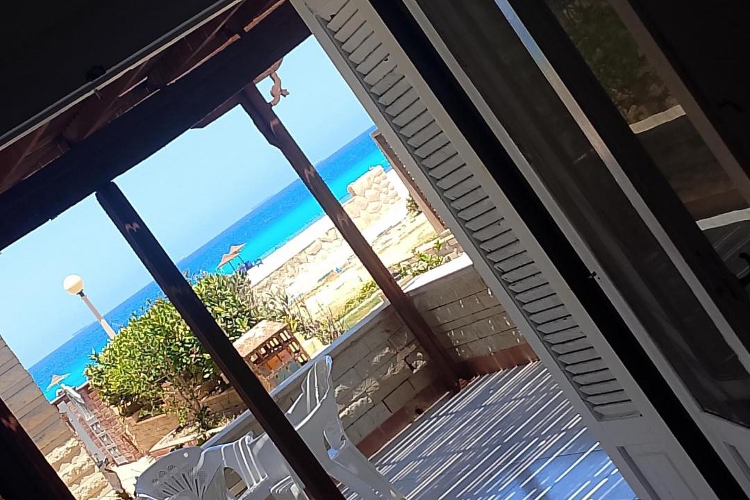 Photo of Others in Borg el Arab