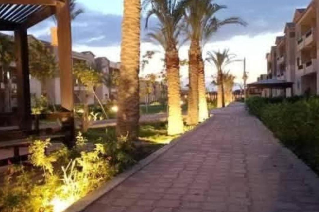 Photo of Others in Zafarana