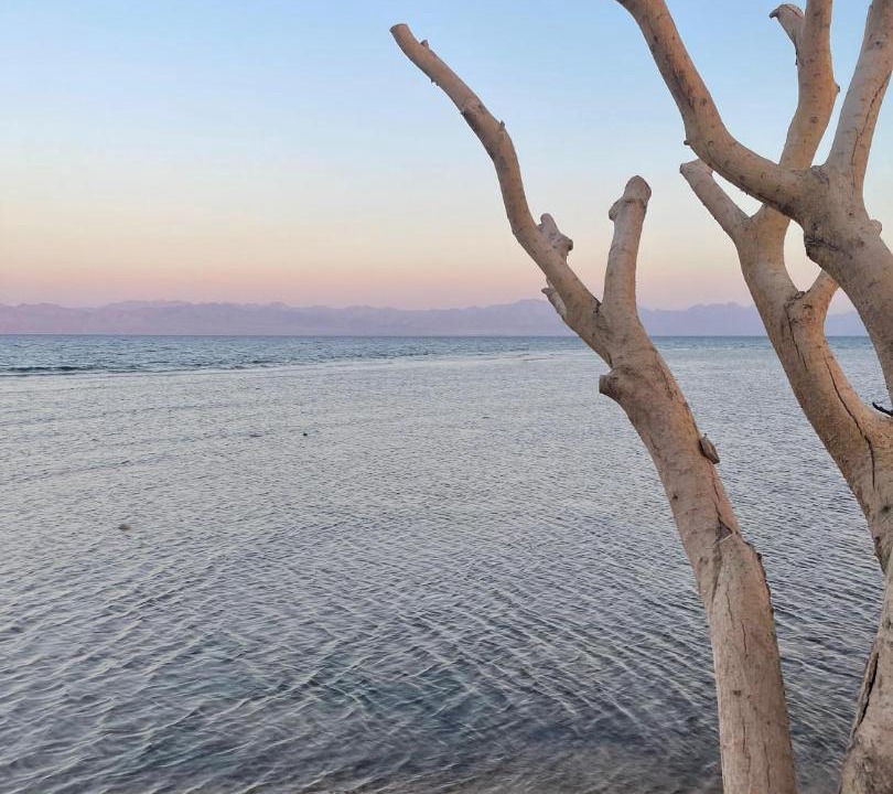 Photo of Others in Nuweiba