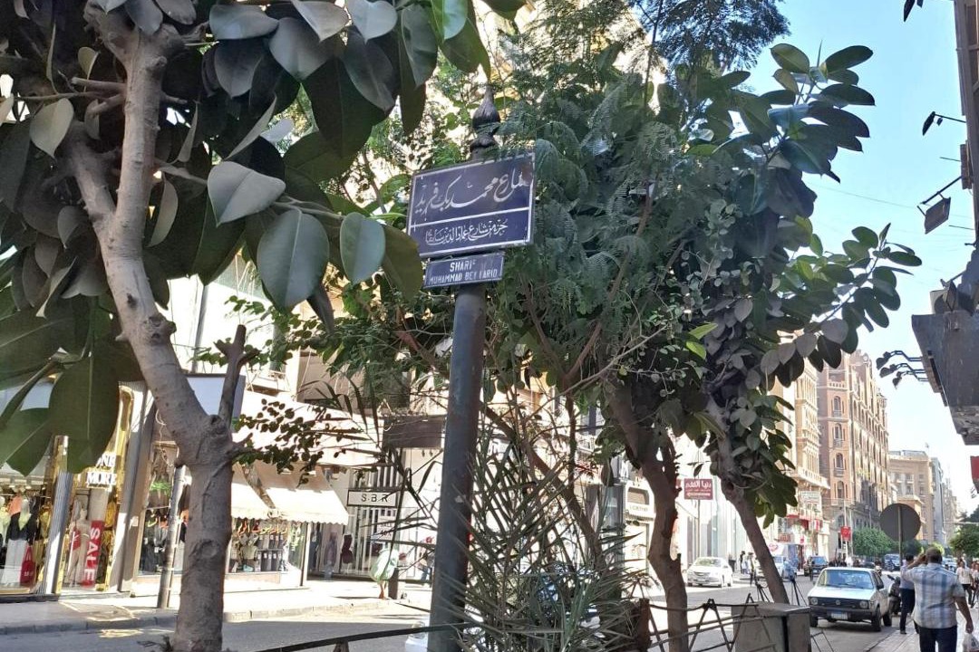 Photo of Others in Downtown Cairo