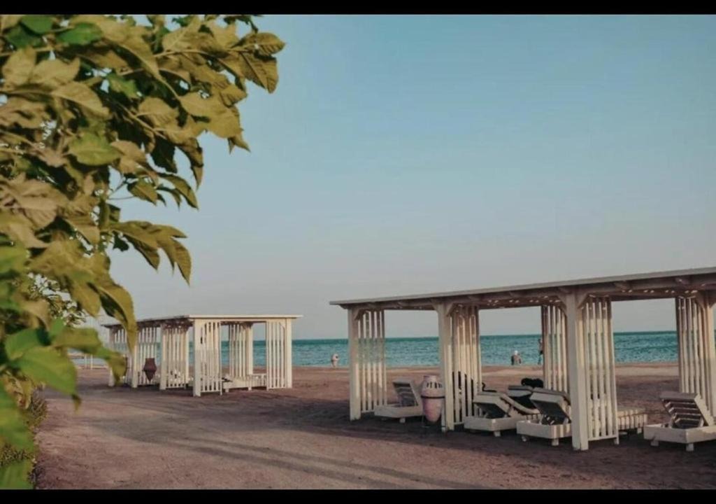Photo of Others in Al Mamsha El Seyahi