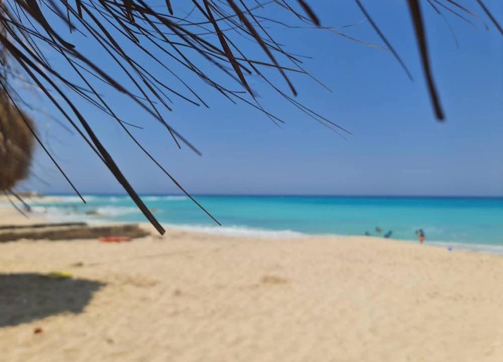 Photo of Others in Borg el Arab