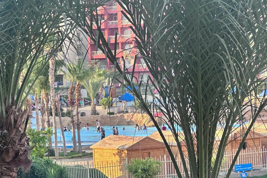 Photo of Others in Marina El Alamein