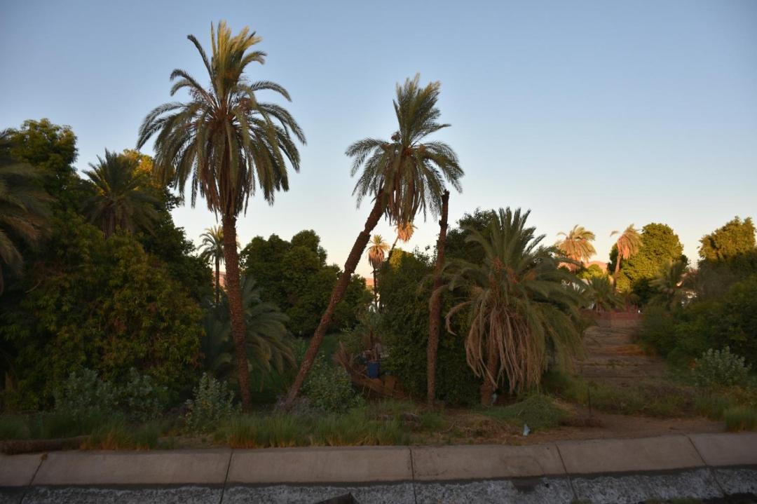 Photo of Others in Aswan