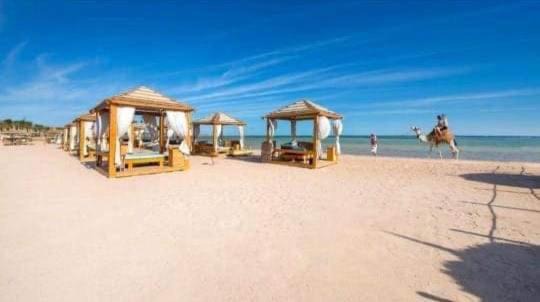 Photo of Others in Sharm El Sheikh