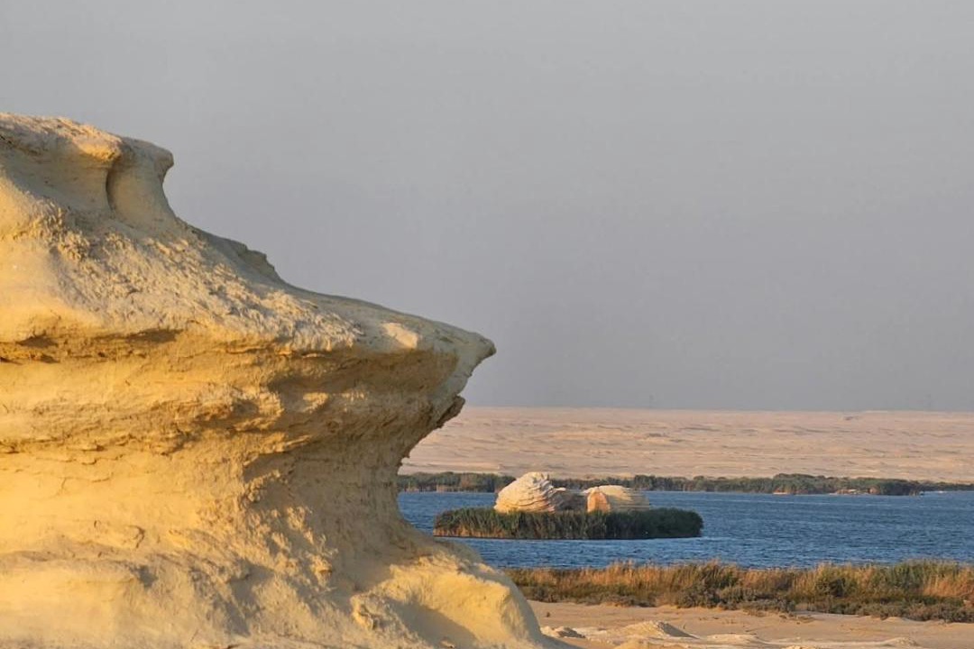 Photo of Others in Al Fayoum