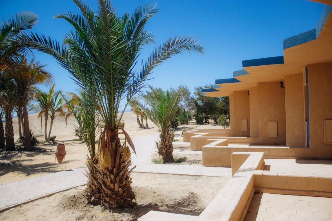 Photo of Others in El Quseir