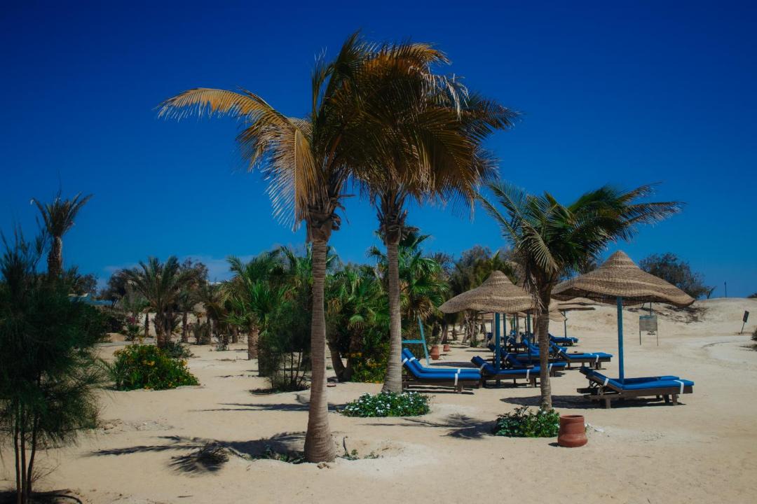 Photo of Others in El Quseir