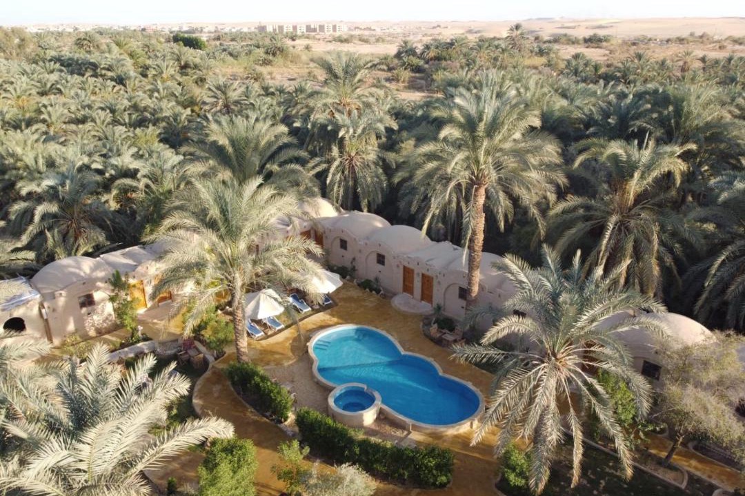 Photo of Others in Siwa