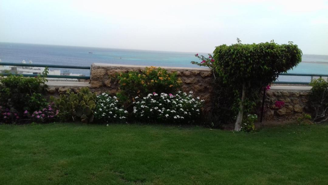 Photo of Others in Corniche Road-Dahar
