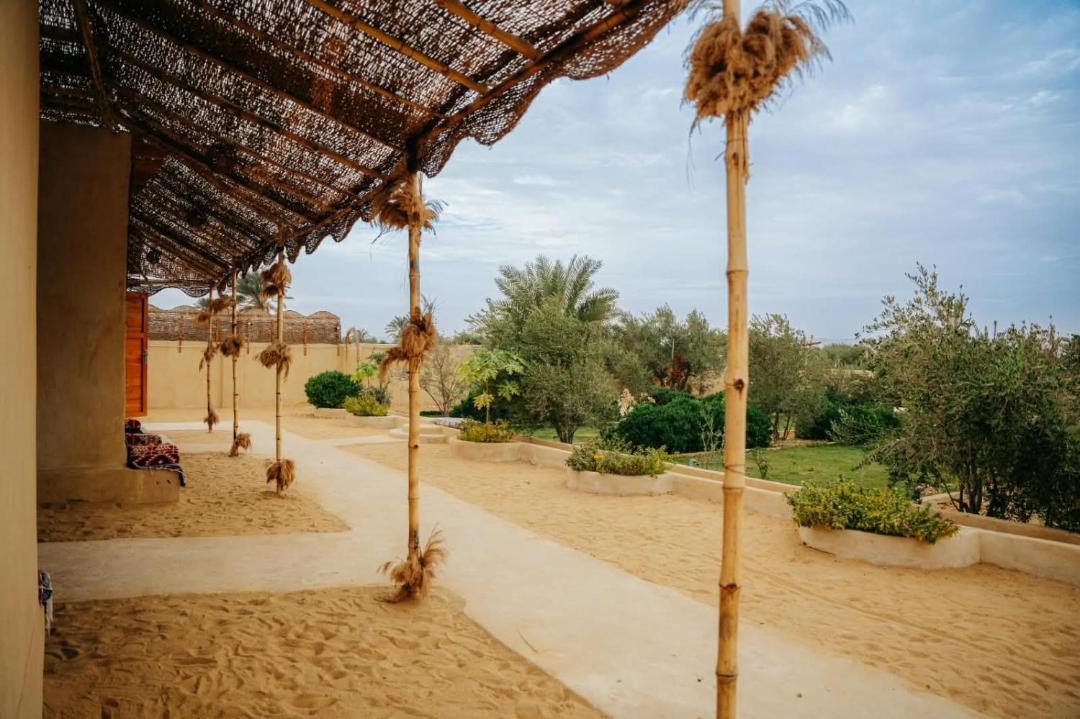 Photo of Others in Yusuf as-Sidiq
