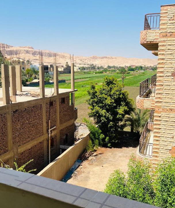 Photo of Others in Luxor