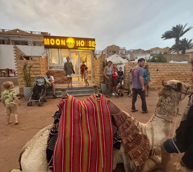 Photo of Others in Dahab
