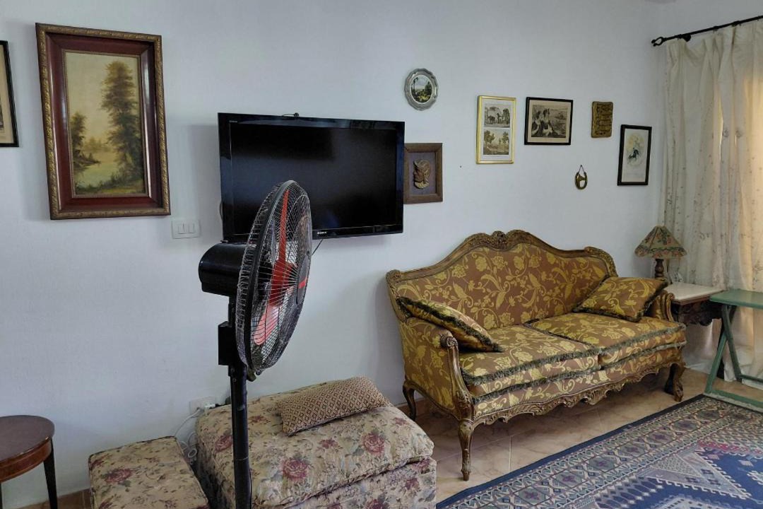 Photo of Others in Borg el Arab