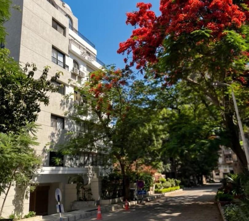 Photo of Others in Maadi