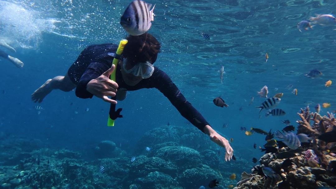 Photo of Others in Soma Bay