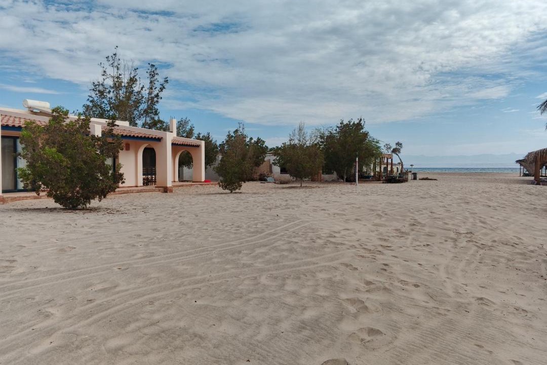 Photo of Others in Nuweiba