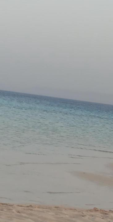 Photo of Others in Marsa Alam