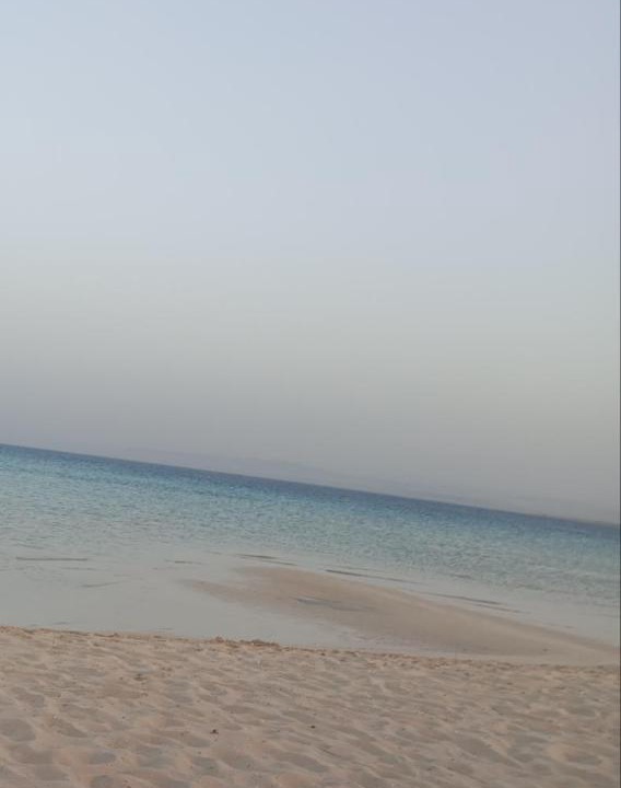 Photo of Others in Marsa Alam