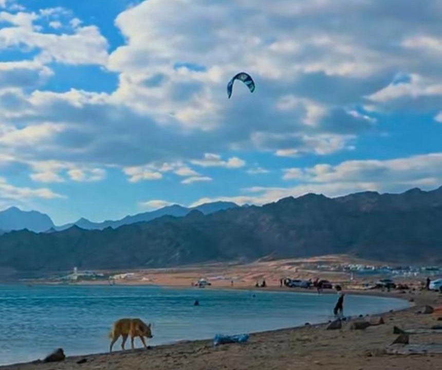 Photo of Others in Dahab