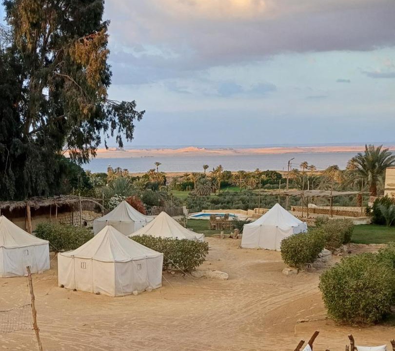 Photo of Others in Tunis Village