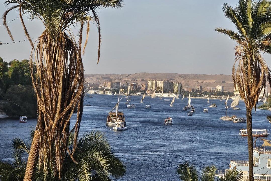 Photo of Others in Aswan