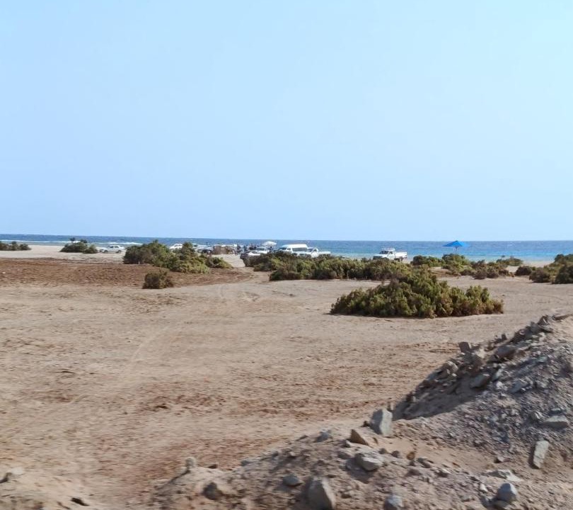 Photo of Others in Marsa Alam
