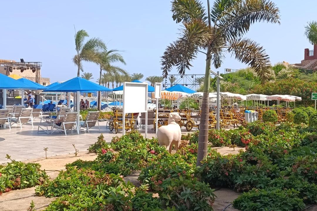Photo of Others in Marsa Alam