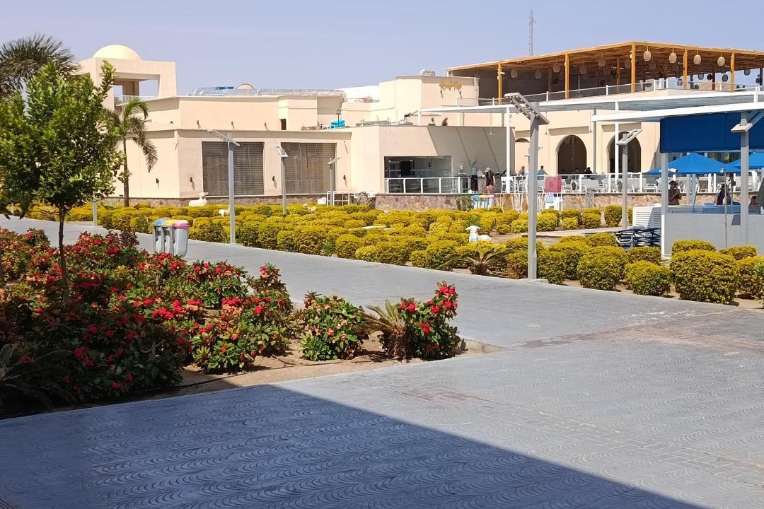 Photo of Others in Marsa Alam