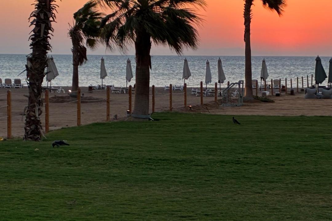 Photo of Others in El Gouna