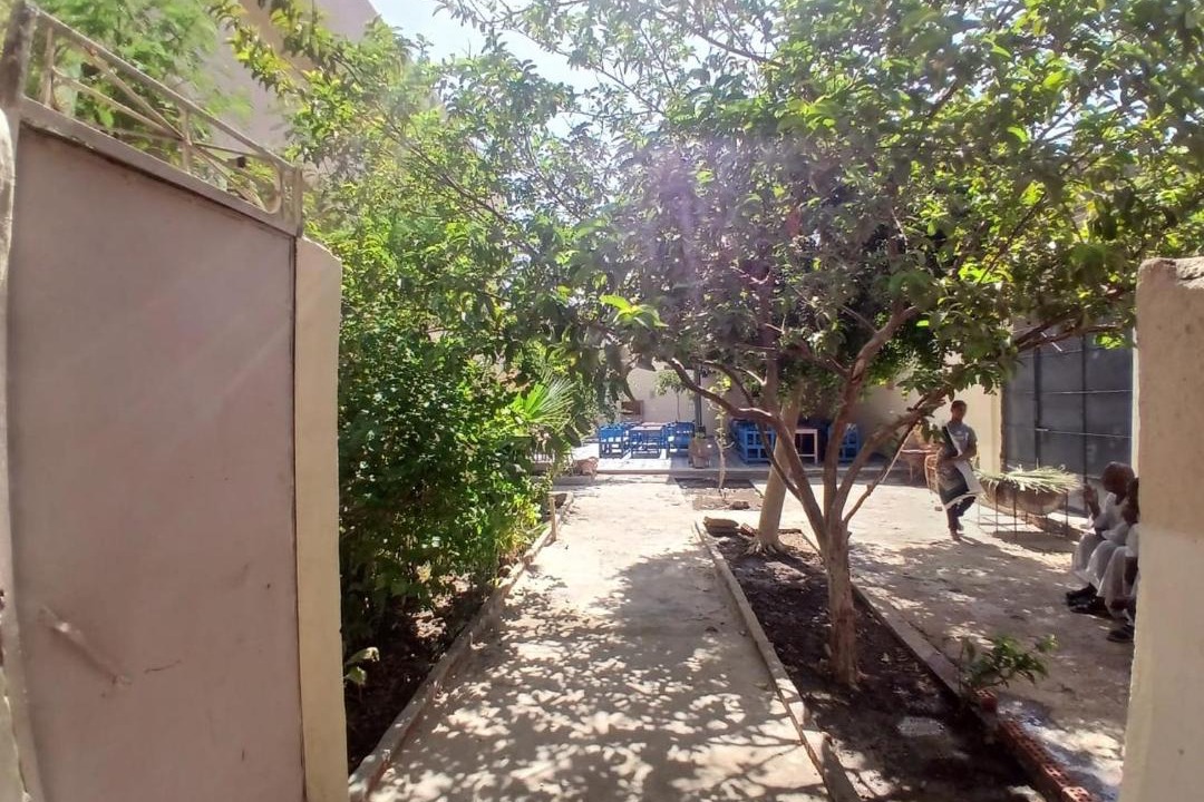 Photo of Others in Luxor