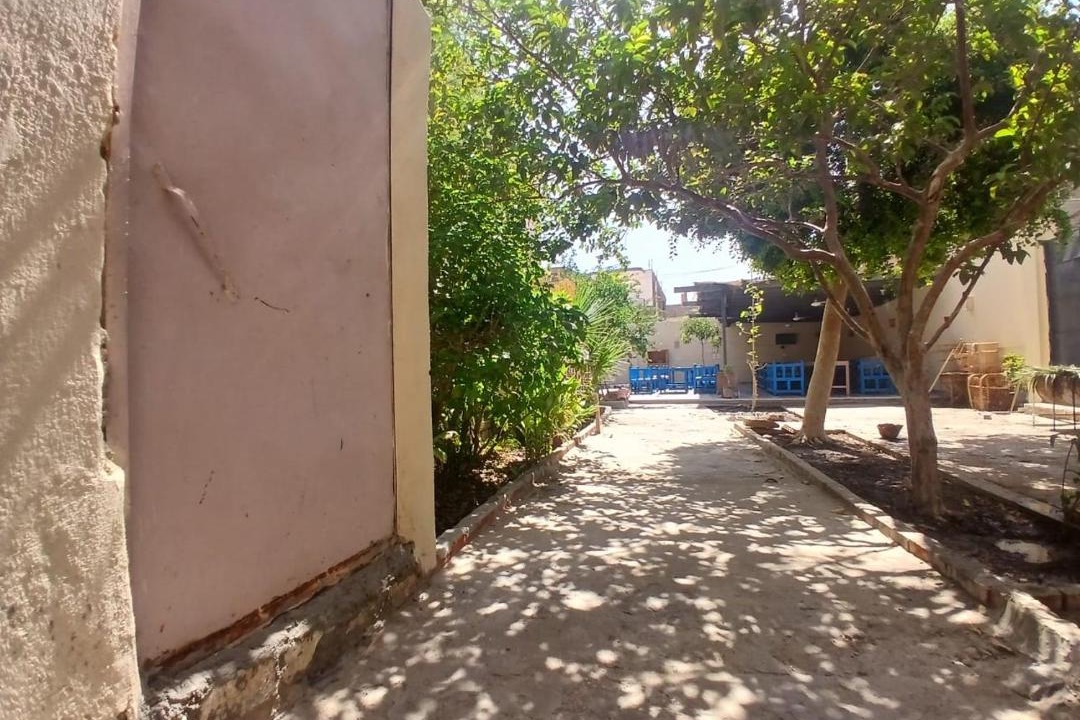 Photo of Others in Luxor